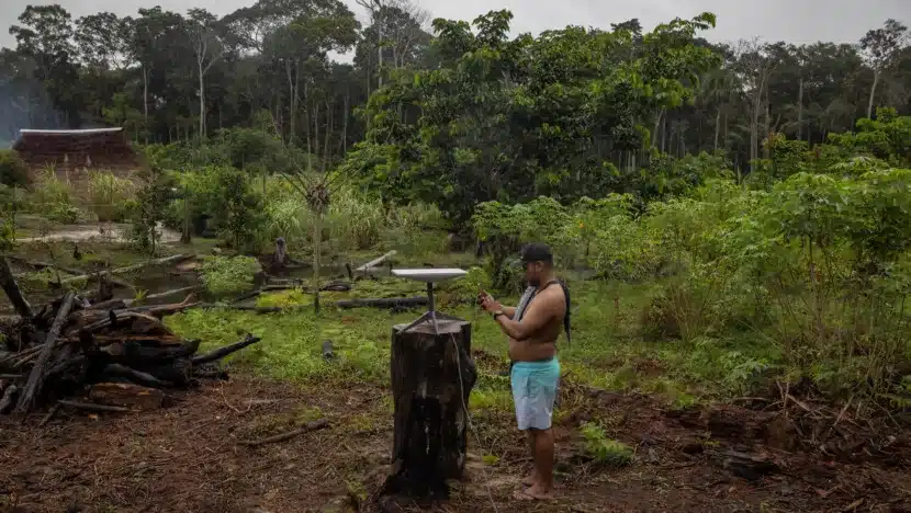 Tecnologia da Starlink foi instalada em diversas tribos remotas da Amazônia / Foto: divulgação