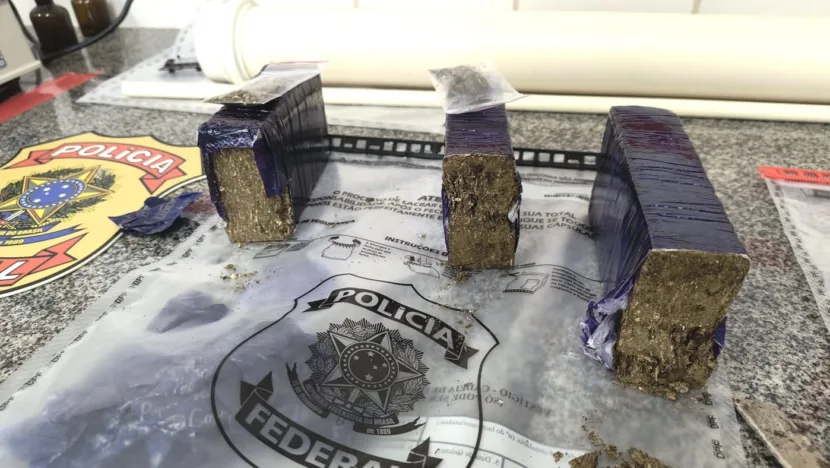 41e3000a 5ffa 4695 8b6b 65f52909e0a0