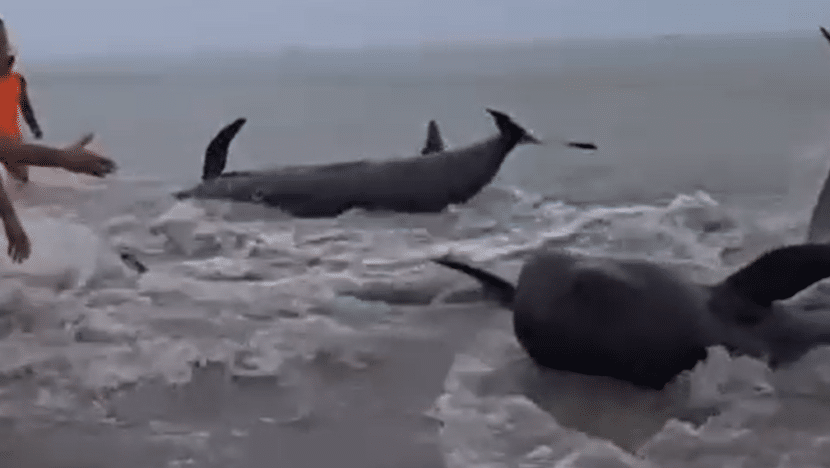 Captura de tela 2024 06 02 153639