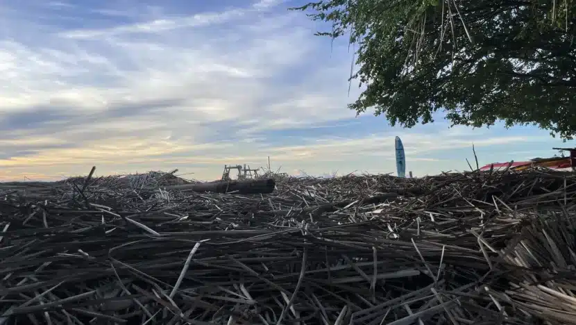 Barracas da praia de Tourinhos, no litoral norte do RN, são demolidas