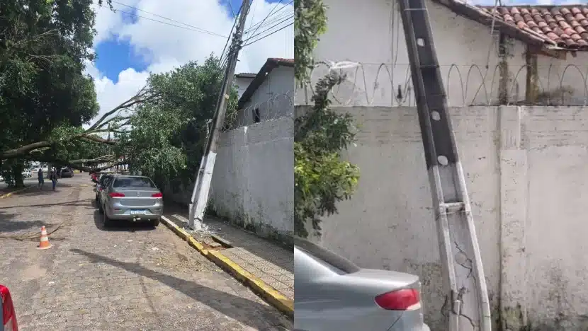 Árvore cai, quebra poste e atinge Vila Naval no bairro do Alecrim, em Natal