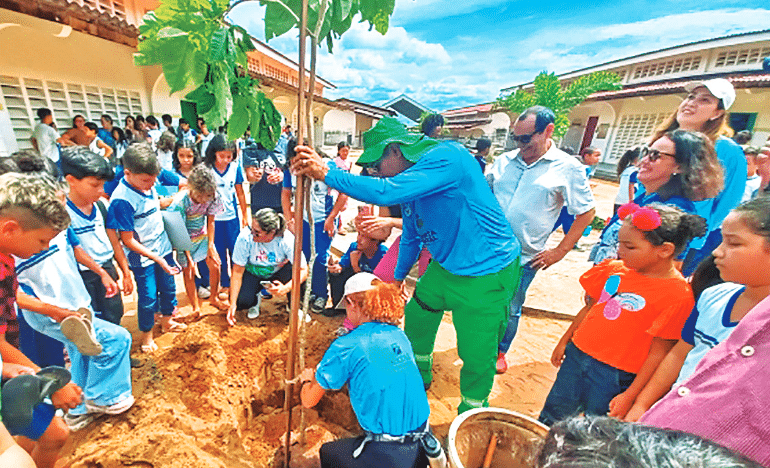 Ipê branco, árvore de número 20 mil, está plantado na Escola Municipal Vera Lúcia de Barros, no Pajuçara / Foto: MANOEL BARBOSA / SME