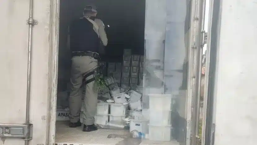 PM recupera caminhão roubado e prende suspeito no município de Touros, interior do RN