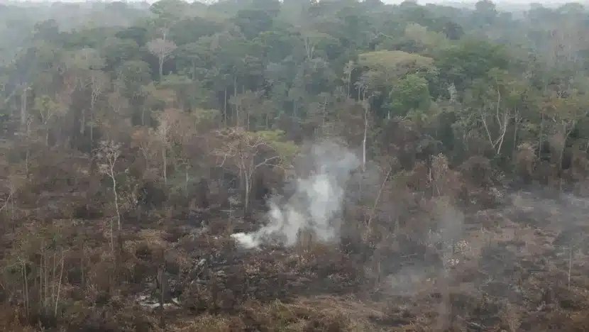 2024 03 03t010536z 1935154667 rc2rd6adelkv rtrmadp 3 brazil fires