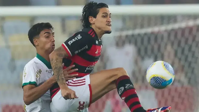 Das partidas realizadas pela copa do brasil apenas em três as equipes levam boa vantagem | notícias do rio grande do norte Das partidas realizadas pela Copa do Brasil apenas em três as equipes levam boa vantagem - Foto: Cesar Greco/Palmeiras