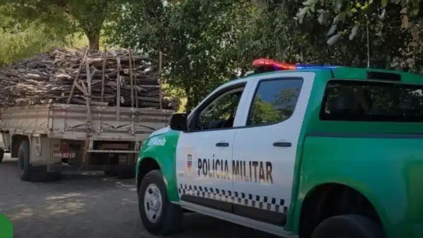 Capturar