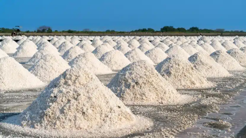 Salt in salt farm ready for harvest, Thailand.