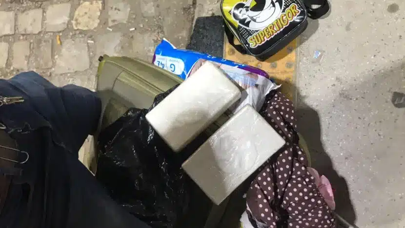 WhatsApp Image 2024 08 20 at 13.49.57