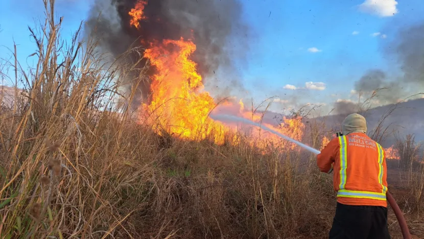 WhatsApp Image 2024 08 28 at 09.37.44