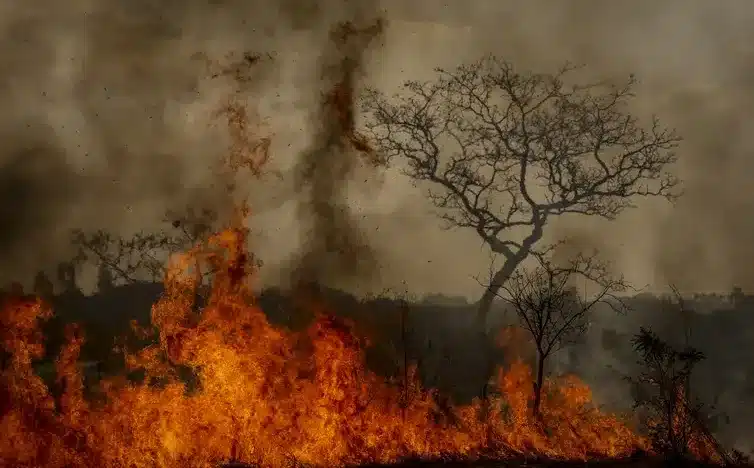 incendio florestal bsb2 mcamgo abr 24082024 2 17 (1)