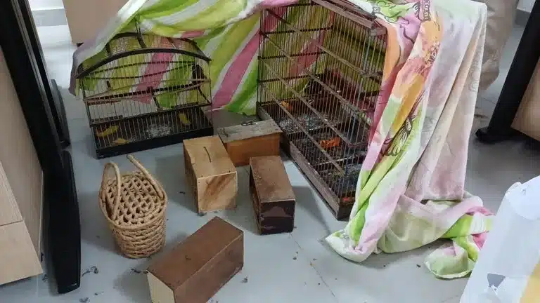 Casal foi preso por crime ambiental - Foto: PRF