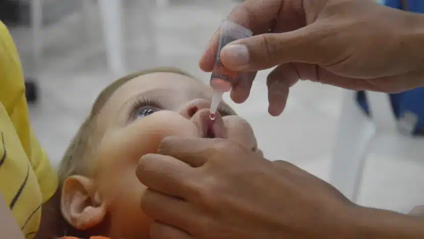 Dia ´´D´´ de vacinação (21)