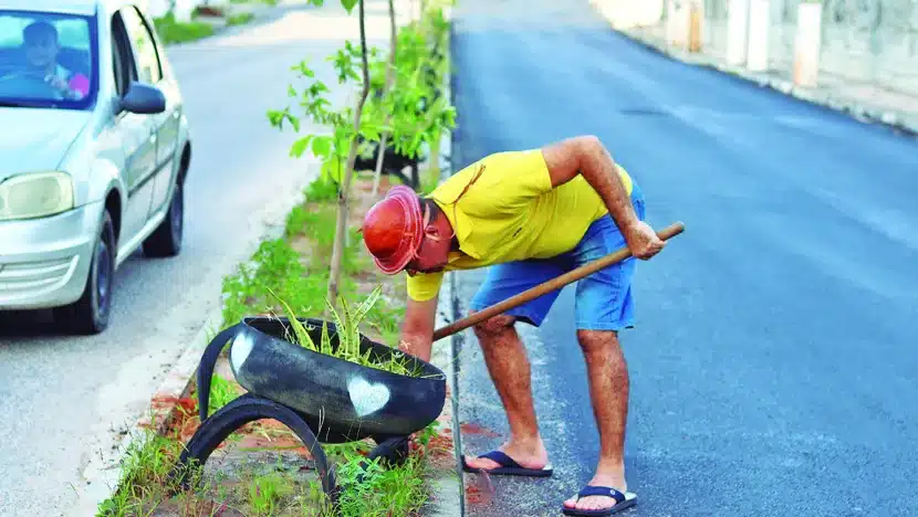 Vereador liderou a plantação de mudas de ipês ao longo da Rua Miramar / Foto: Cedida