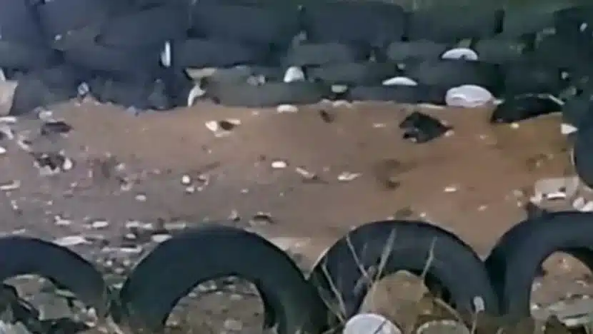 Policiais penais denunciam proliferação de ratos no complexo penitenciário de alcaçuz | notícias do rio grande do norte Infestacao de ratos em Alcacuz preocupa policiais penais e aumenta risco sanitario