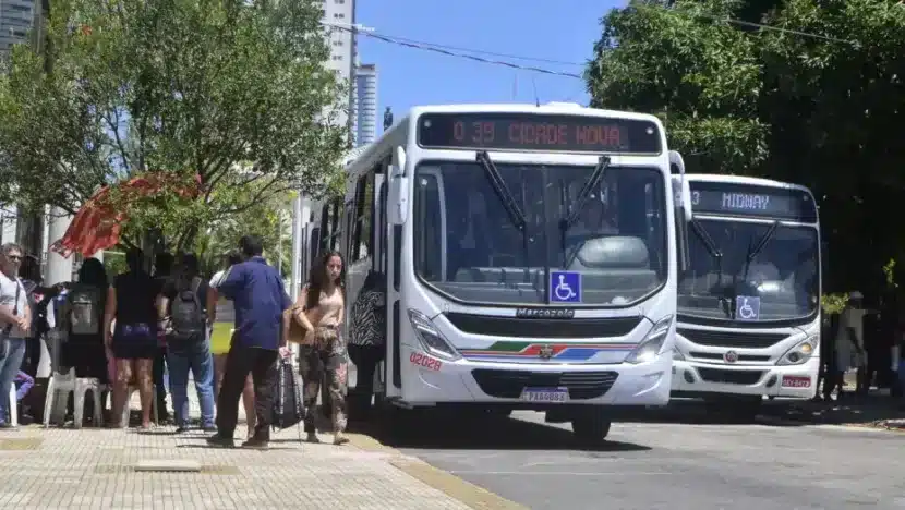 Parada de onibus Ribeira 18 930x524.jpg 1 830x468