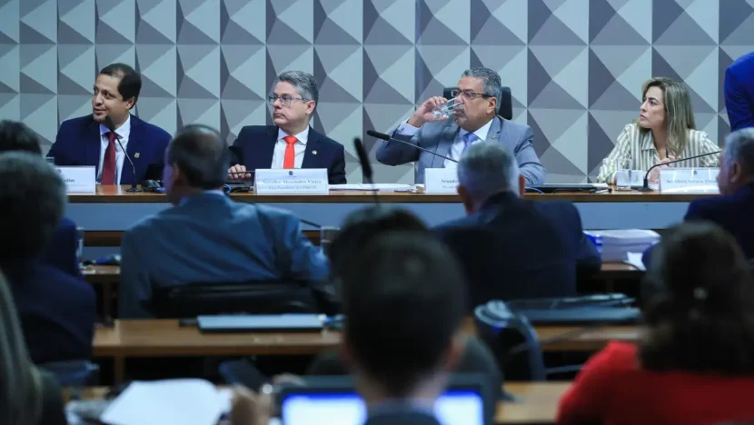 lula6993