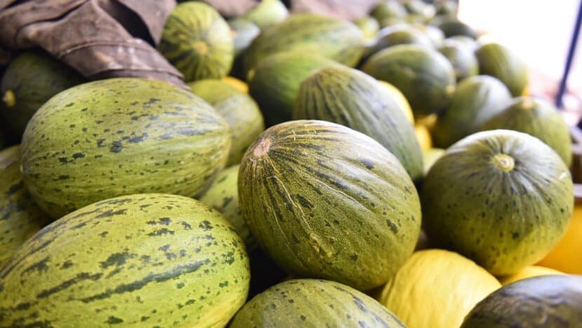 WhatsApp Image 2025 01 07 at 15.06.35