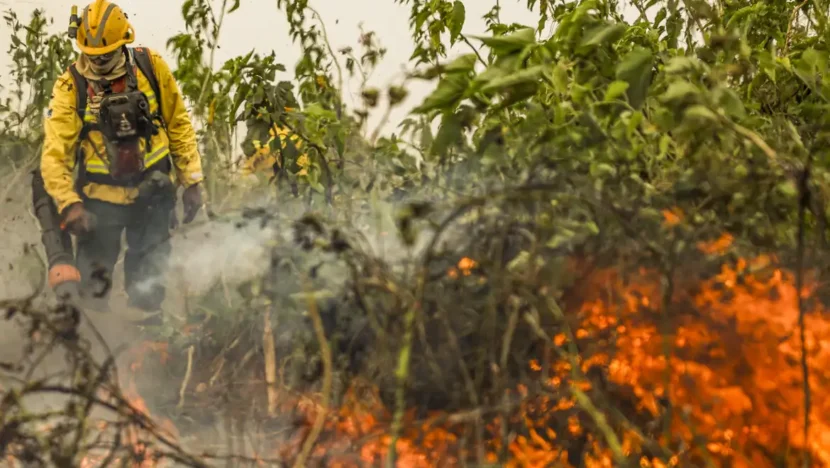 Brasil tem 1 milhão de focos de queimada registrados em 5 anos - Foto: Marcelo Camargo/Agência Brasil