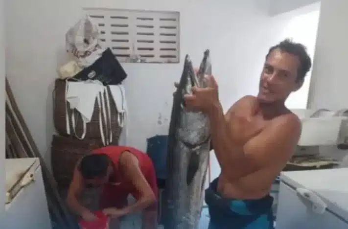 Captura de Tela 2025 02 16 as 09