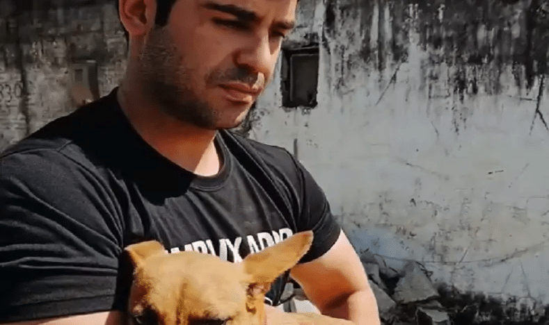 Câmara municipal de natal aprova lei de robson carvalho para proteger animais de plantas tóxicas | notícias do rio grande do norte PÁG 8 Robson Carvalho