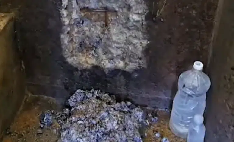 Policiais penais impedem tentativa de fuga em pavilhão do presídio de Alcaçuz - Foto: Sindppen-RN/Reprodução