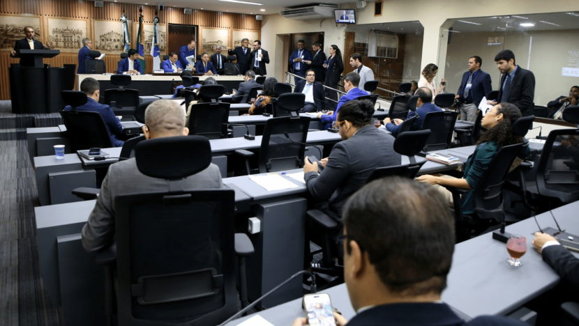 Câmara aprova projetos voltados à proteção animal e direitos estudantis | notícias do rio grande do norte image