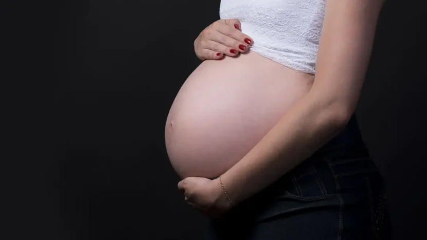 Saúde recomenda cálcio para todas as gestantes para prevenir eclâmpsia - Fotorech/Pixabay