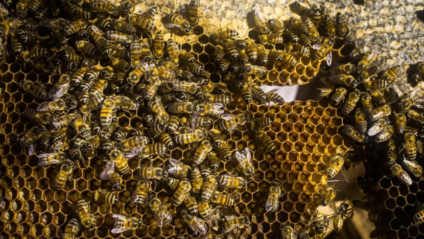 50356104228 55b97a589a o