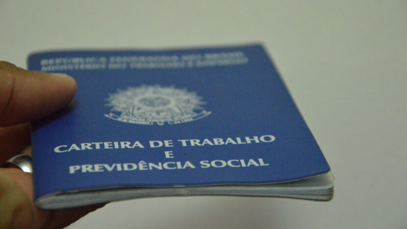 Carteira de Trabalho (13)