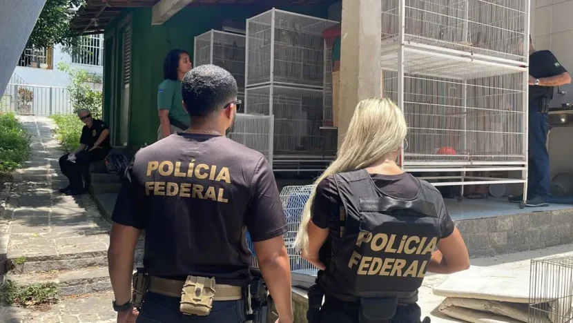 Idade para aposentadoria de mulheres policiais pode ser mudada - foto: Polícia Federal RJ