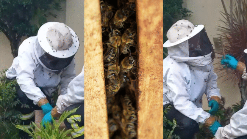 Design sem nome (84)