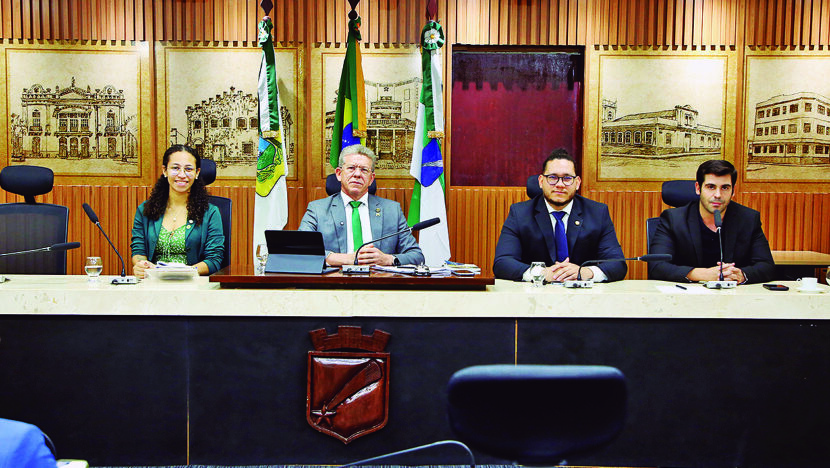 comissão segurança