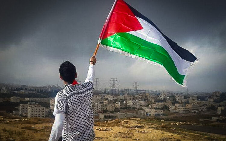 palestinos reproducao