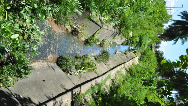 Canal de concreto a céu aberto com água escura e vegetação nas margens