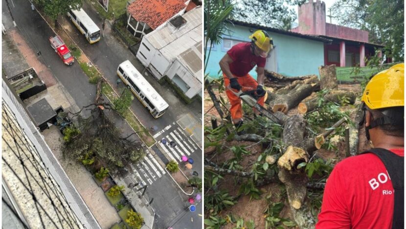 Bombeiros atendem ocorrências de quedas de árvores em Natal nesta quarta-feira - Foto: CBMRN / Reprodução