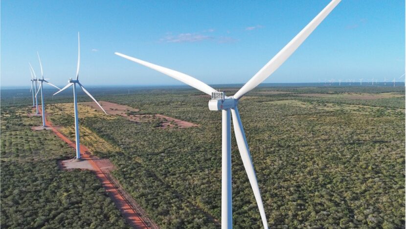 Echoenergia conta com 14 complexos de geração renovável na região Nordeste, sendo 12 de energia eólica e dois solares. Foto: Divugação