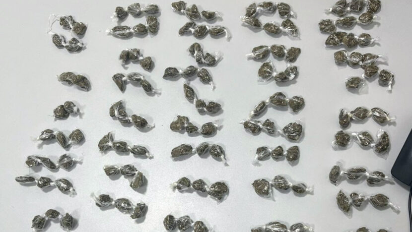 173 porções de maconha são apreendidas após suspeito fugir da PM em PaRio Grande do Norteamirim - foto: PMRN