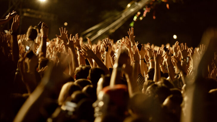 Cheering crowd at music festival.