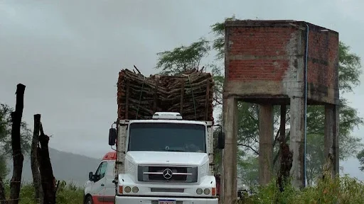 Homem morre eletrocutado ao encostar em fio de alta tensão durante descarregamento de lenha no RN - Foto: Reprodução/Blog Focoelho