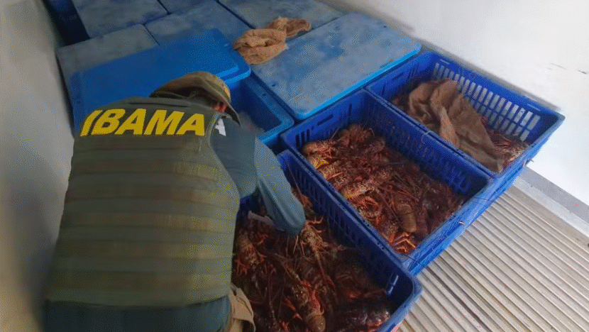 Captura de Tela 2025 08 23 às 13.43.09