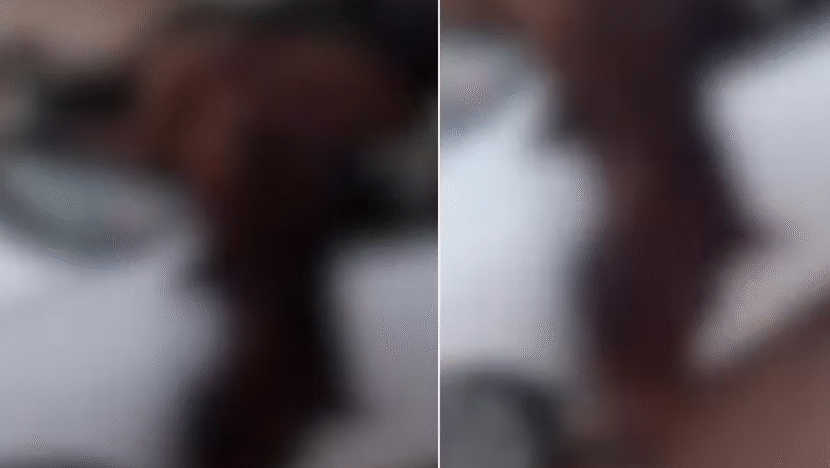 Captura de tela 2025 08 03 140041