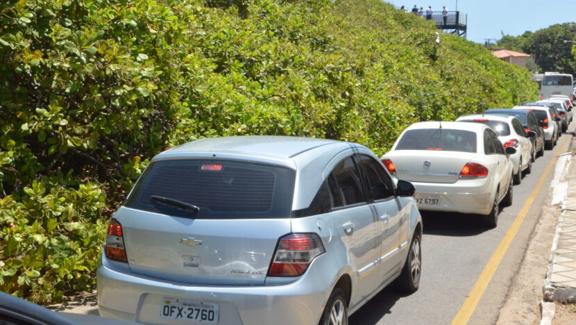 maior cajueiro do mundo Foto: José Aldenir - Agora RN