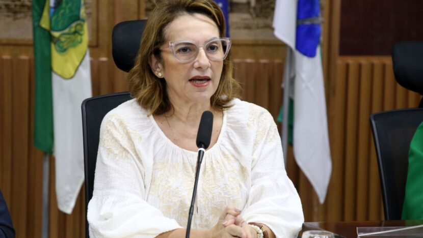 Secretária adjunta de Saúde de Natal, Sandra Raíssa FeRio Grande do Norteandes, respondeu questionamentos de vereadores - Foto: Elpídio Júnior / CMN