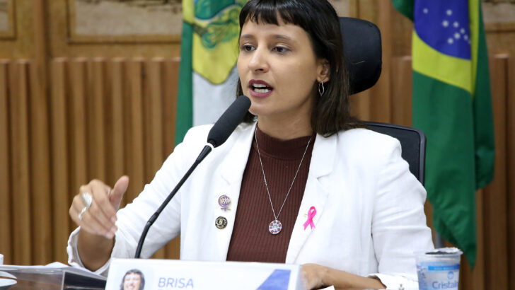 Brisa