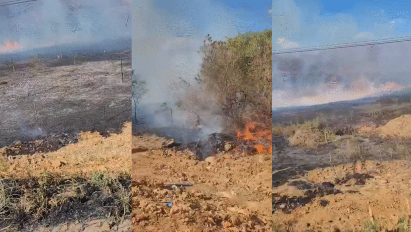 MODELO FOTO PORTAL (66)