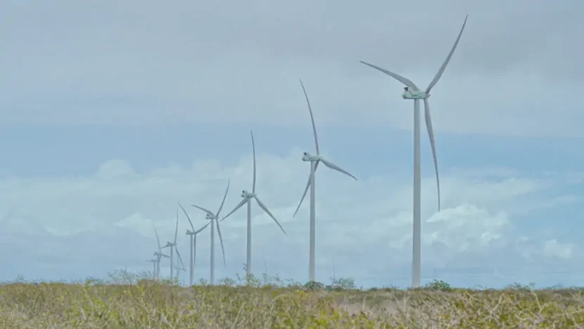 RN, pioneiro na energia eólica em terra, avança para liderar também no mar