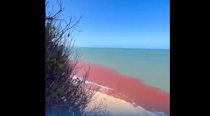 Captura de Tela 2025 11 02 às 12.03.13