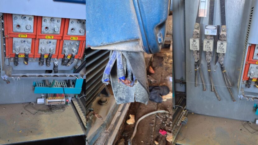 MODELO FOTO PORTAL (20)