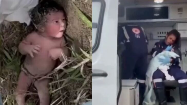 MODELO FOTO PORTAL (77)