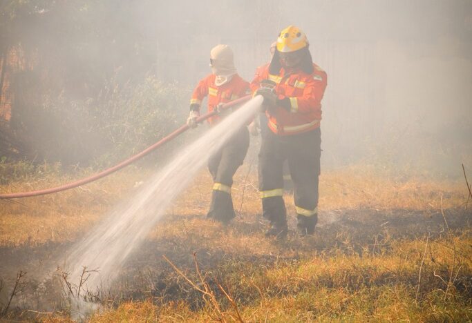 WhatsApp Image 2025 11 05 at 10.50.25